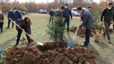 Belediye Başkanımız Zekiye Tekin, Milli Ağaçlandırma Günü Etkinliğine Katılım Sağladı