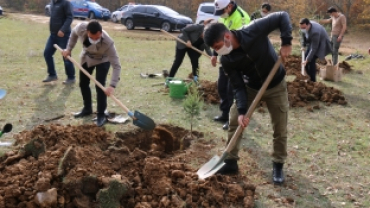 Belediye Başkanımız Zekiye Tekin, Milli Ağaçlandırma Günü Etkinliğine Katılım Sağladı