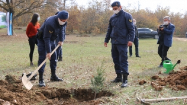 Belediye Başkanımız Zekiye Tekin, Milli Ağaçlandırma Günü Etkinliğine Katılım Sağladı