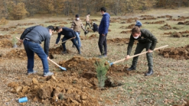 Belediye Başkanımız Zekiye Tekin, Milli Ağaçlandırma Günü Etkinliğine Katılım Sağladı