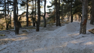 KÜÇÜKELMALI TABİAT PARKINDA SON DURUM