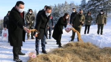 Valimiz Sayın Bilal Şentürk, Küçükelmalı Tabiat Parkında İncelemelerde Bulundu