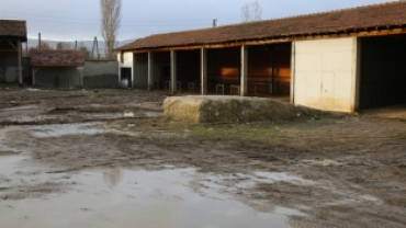 Kurban Satış Noktası Yeni Yüzü İle Halkın Hizmetine Sunuldu