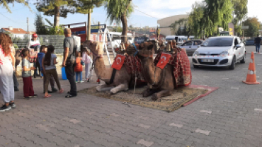 Geleneksel Pazaryeri Panayırı Başlıyor!