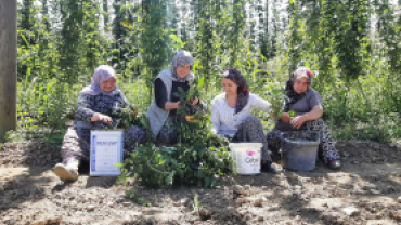 Başkanın Fotoğrafları